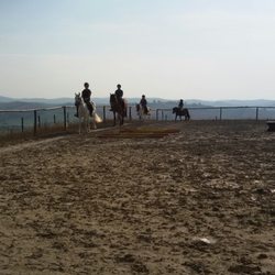 ASD Il Destriero