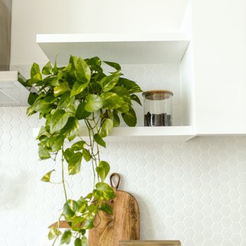 Minimizing Organizer - Home Organization Near Me Minimizing Organizer - Home Organization Near Me
