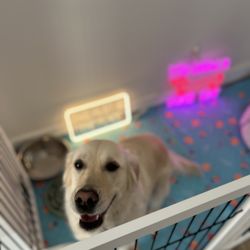 This Must Be The Place