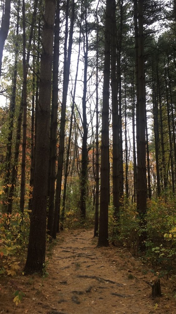 HAMPTON HILLS METRO PARK Updated July 2024 10 Photos 1285 W Bath
