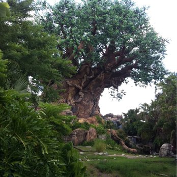Walt Disney World® Resort - Amusement Parks Near Me - Orlando, Florida