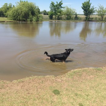 Pets And People Dog Park - Dog Parks Near Me - Yukon, Oklahoma Pets And People Dog Park - Dog Parks Near Me - Yukon, Oklahoma