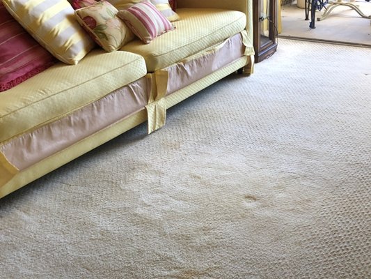 Residential & Commercial Carpet Cleaning - For us, no carpet cleaning job is too small or too big. With our professional and friendly service, we have fulfilled the carpet cleaning needs of our clients for 20+ years now. Residential & Commercial Carpet Cleaning - For us, no carpet cleaning job is too small or too big. With our professional and friendly service, we have fulfilled the carpet cleaning needs of our clients for 20+ years now.