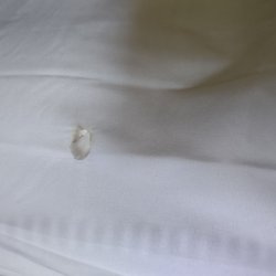 Quality Inn Seekonk-Providence - Hole in sheets