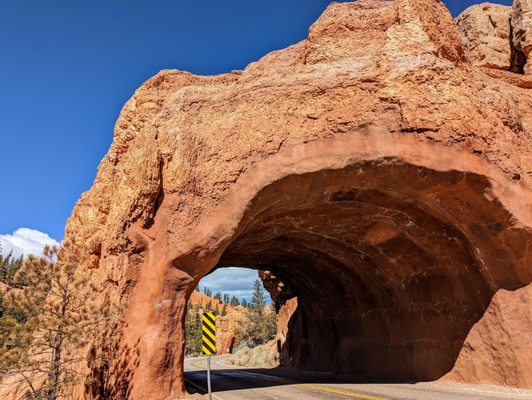 Dixie National Forest by null