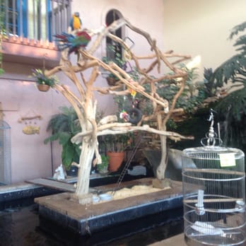 Pet Paradise - Cool! - Pet Stores Near Me - Pueblo, Colorado Pet Paradise - Cool! - Pet Stores Near Me - Pueblo, Colorado