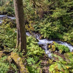 Columbia River Gorge National Scenic Area - Wahkeena Falls trail at the Columbia River Gorge National Scenic Area in Corbett, Oregon. Multnomah County. Breathtaking and beautiful.