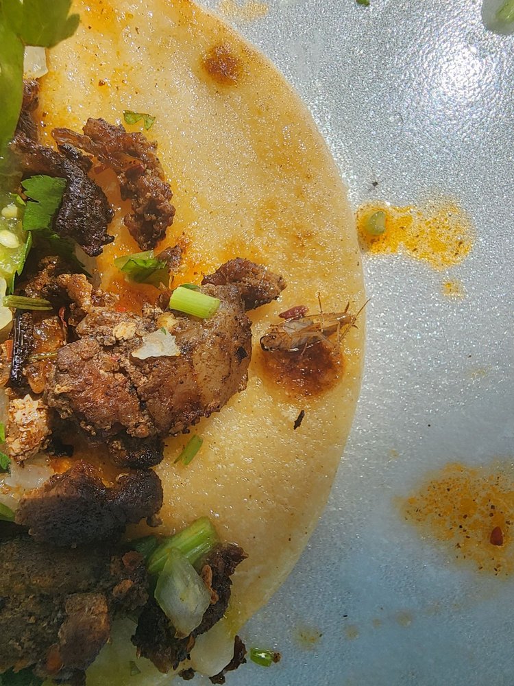 Sammy's Taqueria