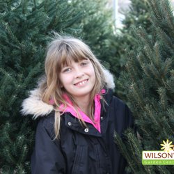 Wilson's Garden Center - Fresh Cut Trees.