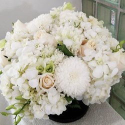 Bal Harbour Flowers - Mona Lisa