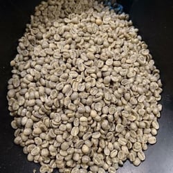 Surrey Hills Coffee