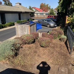 Evolution Landscaping - Trimming bushes done