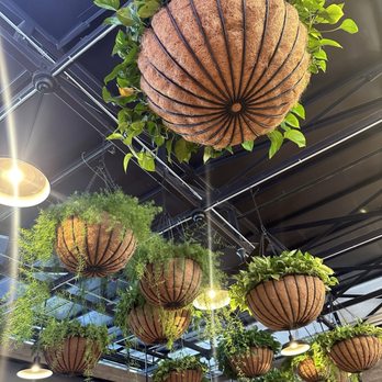 The Garden - Lovely ambiance - Beer Gardens Near Me - Napa, California