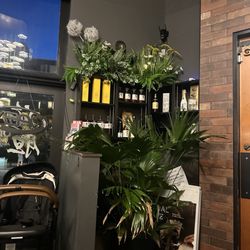 Uni Japanese Restaurant