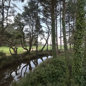 Beachcrest - View from brewery - Beer Bar Near Me - Gleneden Beach, Oregon