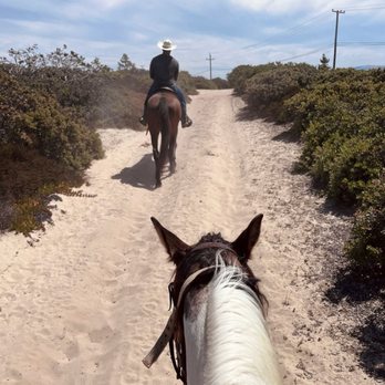 Chaparral Ranch - Horseback Riding Near Me - Marina, California Chaparral Ranch - Horseback Riding Near Me - Marina, California