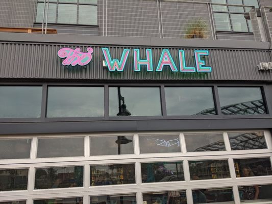 The Whale A Craft Beer Collective by null