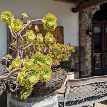 The Winery Restaurant & Wine Bar - Wine Bars Near Me - Tustin, California