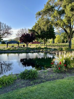 Landmark Vineyards by null