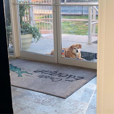 Crate Escape by null