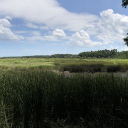 Panoramic from the edge of the rice fields. Panoramic from the edge of the rice fields.