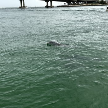 Island Time Private Boat Charters - Boat Charters Near Me Island Time Private Boat Charters - Boat Charters Near Me