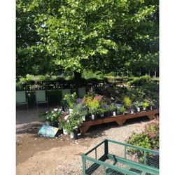 Old Valley Nursery