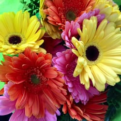 Central Market Florist