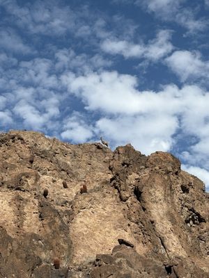 Willow Beach Marina by null