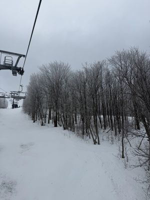 Timberline Mountain by null