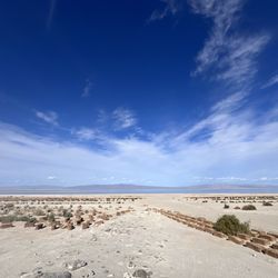 West Shores RV Park and Storage - View of the park