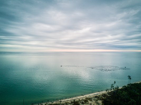 White Stone Oyster Company by null