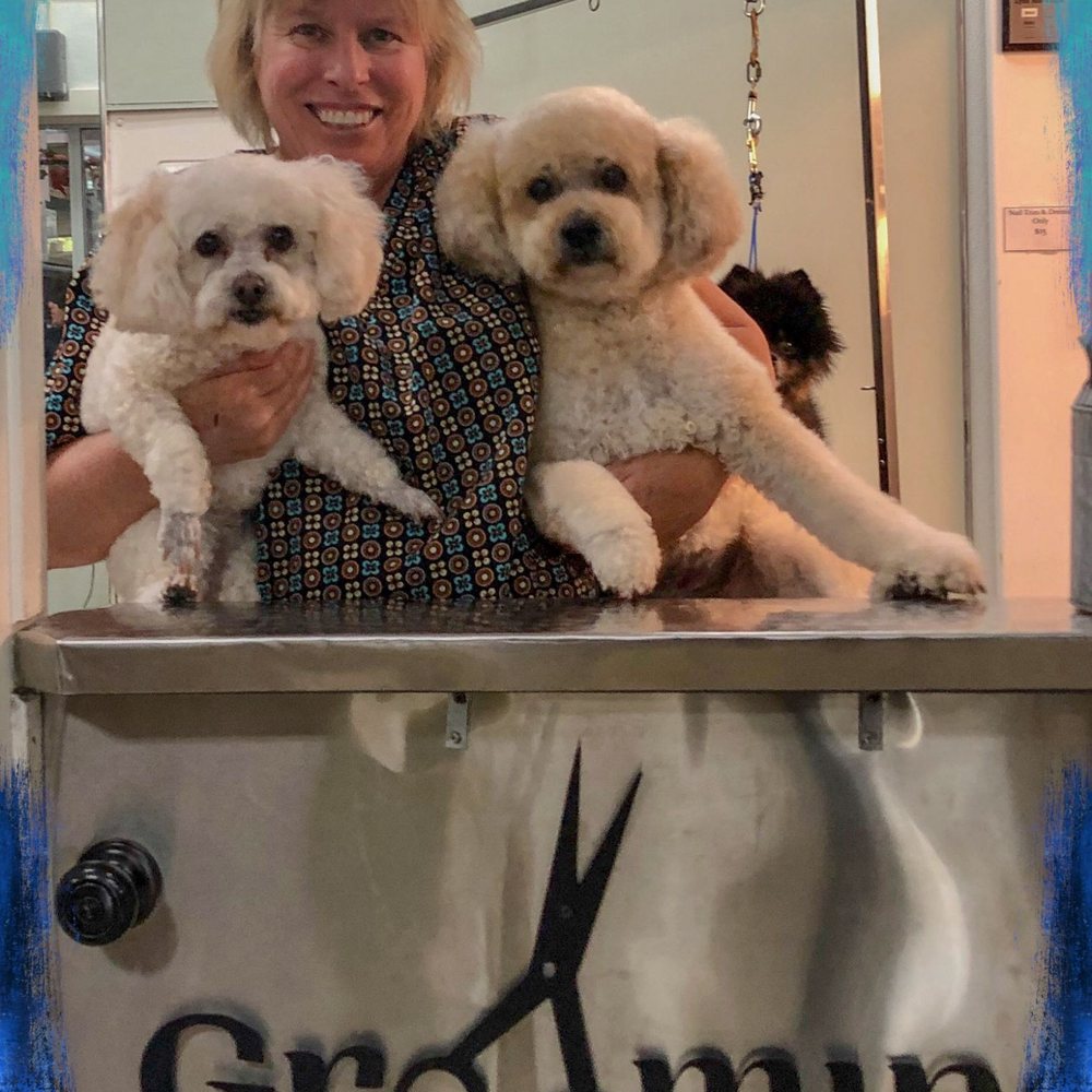 The Pet Department - Pet Groomers Near Me - Paso Robles, California