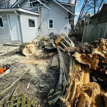Rmp Maple Tree Service - Tree Services Near Me Rmp Maple Tree Service - Tree Services Near Me