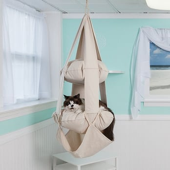 Happy Cat Hotel - Kitty Kabana - Pet Sitting Near Me - Windsor, Connecticut Happy Cat Hotel - Kitty Kabana - Pet Sitting Near Me - Windsor, Connecticut