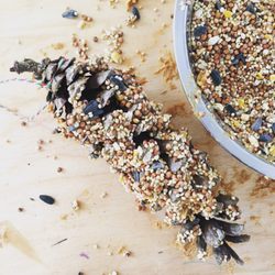 Blue Fox Farm - Children made pinecone bird feeders