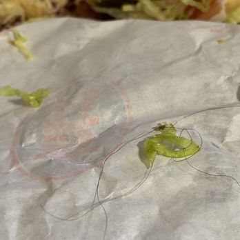 Jersey Mike's Subs - #13 The Original Italian - lettuce  hair wrap - Sandwiches Near Me - Edmond, Oklahoma