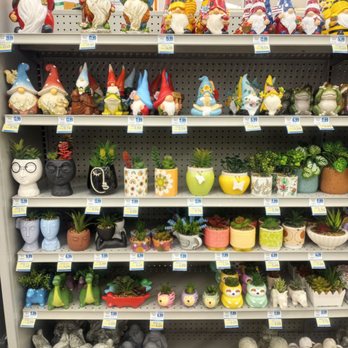 Rite Aid - New Garden stuff for spring - Drugstores Near Me - Folsom, California Rite Aid - New Garden stuff for spring - Drugstores Near Me - Folsom, California