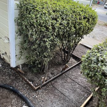 Daniel's Concrete - walk way framing around shrubs. - Masonry/Concrete Near Me Daniel's Concrete - walk way framing around shrubs. - Masonry/Concrete Near Me