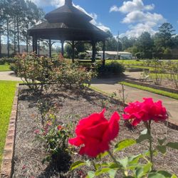 Thomasville Rose Garden