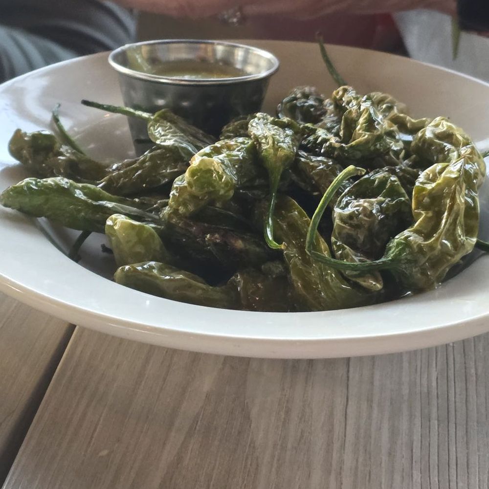 Coral Del Mar - Shishito peppers - Asian Fusion Near Me - Del Mar, California Coral Del Mar - Shishito peppers - Asian Fusion Near Me - Del Mar, California