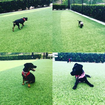 Barker Ranch Dog Park - Dog Parks Near Me - Lake Forest, California Barker Ranch Dog Park - Dog Parks Near Me - Lake Forest, California