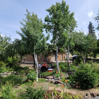 Double Strand Wine - Seeking in the shade - Wine Tasting Room Near Me - Mosier, Oregon