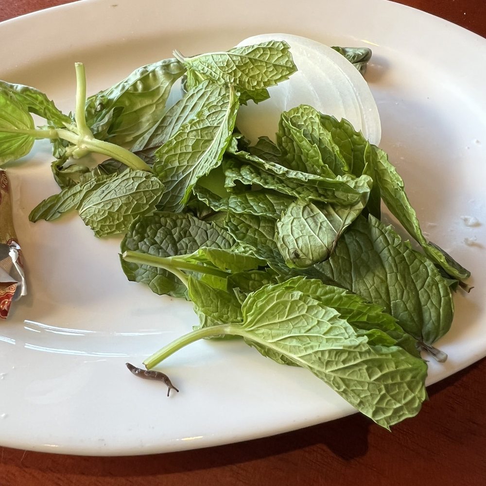 Kababbq Grill & Café - Persian/Iranian Near Me - San Rafael, California Kababbq Grill & Café - Persian/Iranian Near Me - San Rafael, California