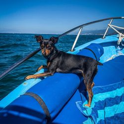 Jet's Private Boat Tour