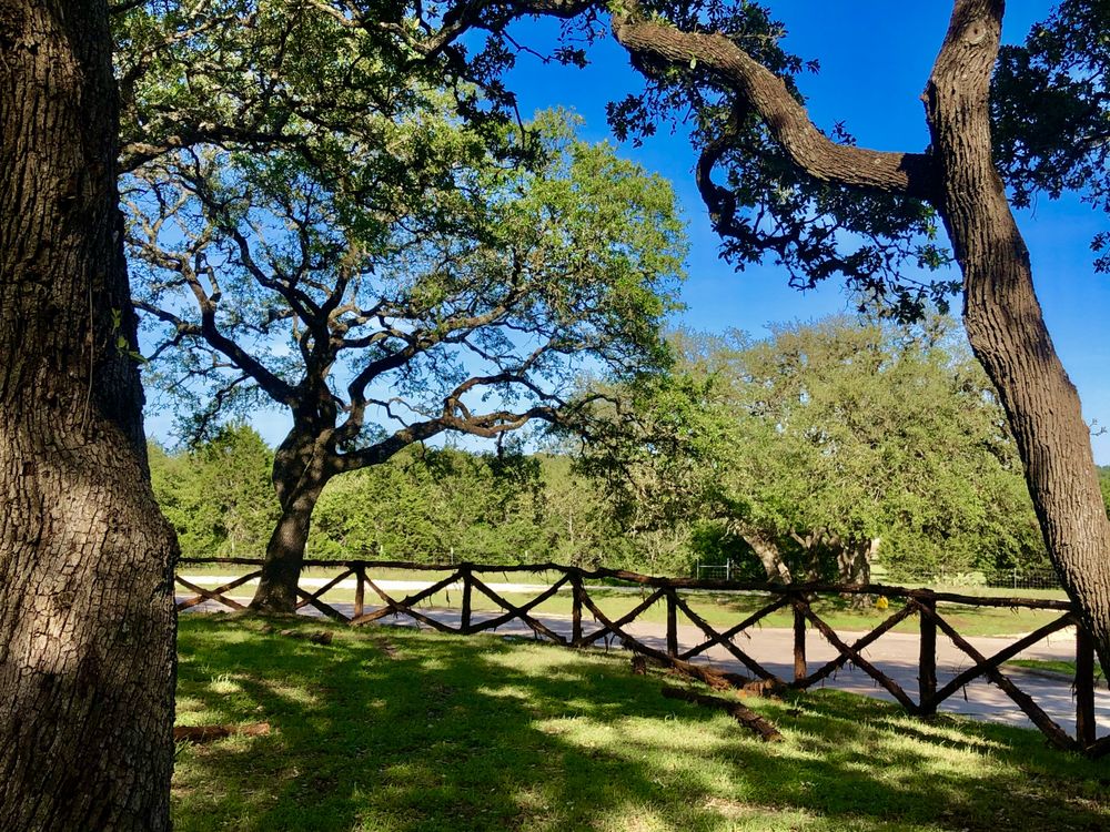 Havenwood Nature School - childcare center in Dripping Springs, TX