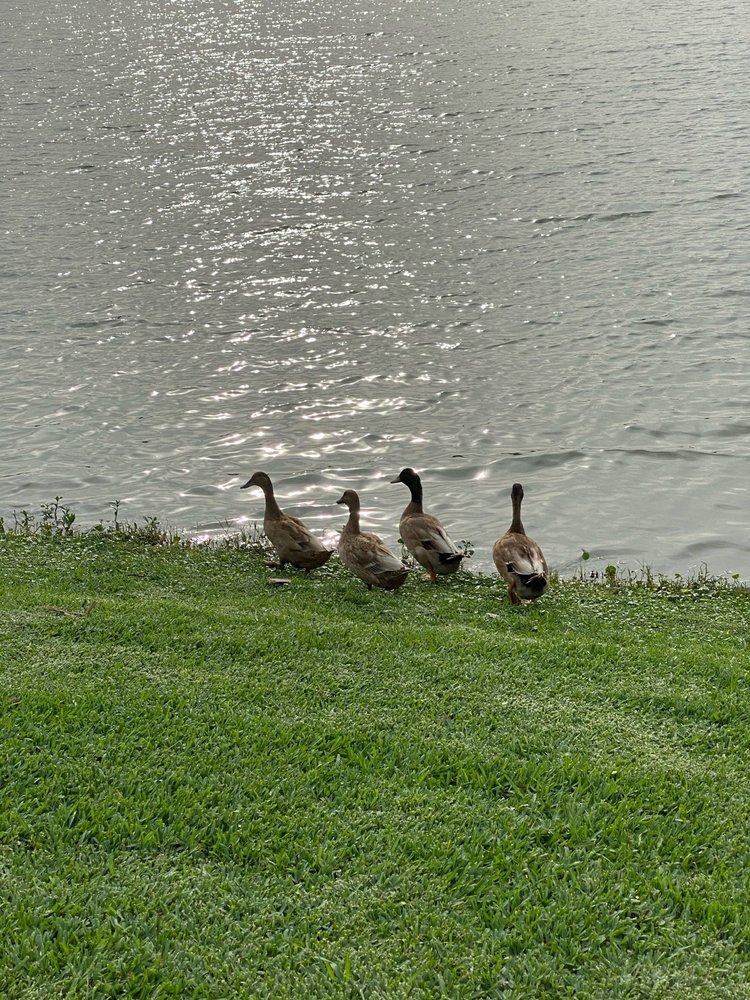 LAKE NASSAU PARK Updated August 2024 38 Photos 18900 Upper Bay Rd