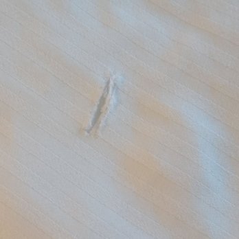 The Hotel Ithaca - Ripped bed sheets in a $500 a day room - Hotels Near Me - Ithaca, New York