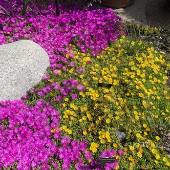 Denver Botanic Gardens - I loved the colors - Botanical Gardens Near Me - Denver, Colorado Denver Botanic Gardens - I loved the colors - Botanical Gardens Near Me - Denver, Colorado