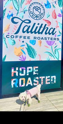 Talitha Coffee Roasters Bankers Hill by null